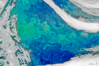 Illustration for article titled These Are Our Favorite Earth Images of 2015